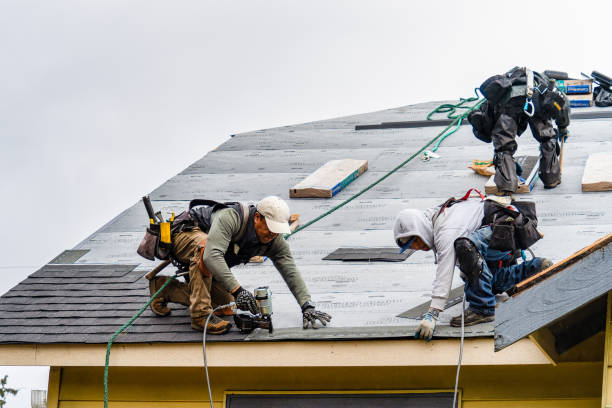 Professional Emergency Roof Repair technician working in Junction City, OR